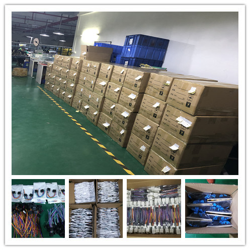 Draai Signaal Automotive Draad Harness Assemblage 8