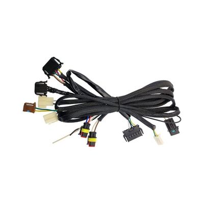 Uitbreiding Adapt Harness Vrouwelijke naar Mannelijke Plugs Op maat gemaakte bedradingsharness assemblageoplossingen