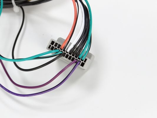 Radio Automotive Draadgordel Assemblage Custom Wiring Harness VED Certificaat