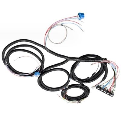 CE elektrisch voertuig draadgordel 18AWG aanpassen automotive bedrading kit